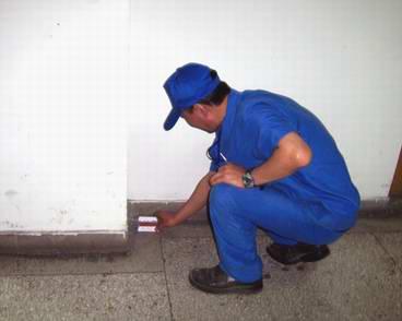 專業滅鼠公司 專業滅鼠公司