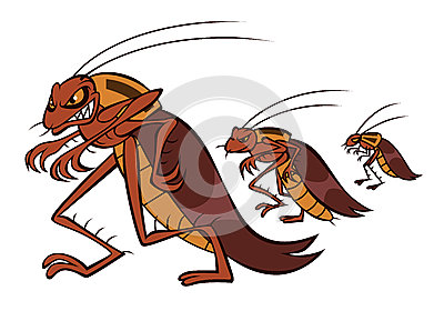 蟑螂超強的繁殖能力