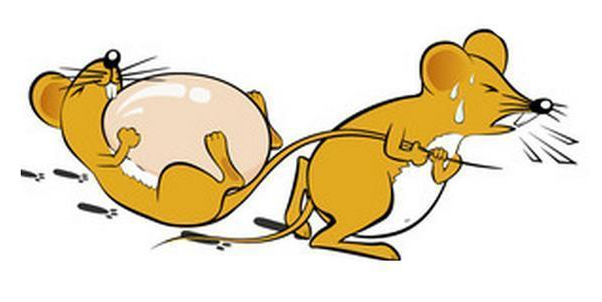 小區滅鼠服務公司