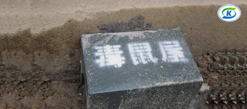 商超、連鎖業蟲害防治(圖4) 商超、連鎖業蟲害防治(圖4)