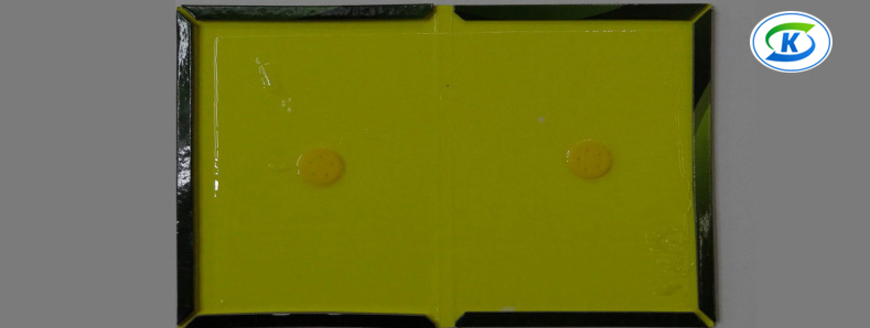 商超、連鎖業蟲害防治(圖5) 商超、連鎖業蟲害防治(圖5)